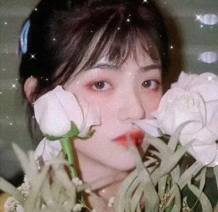 骇故事之女舍惊魂
